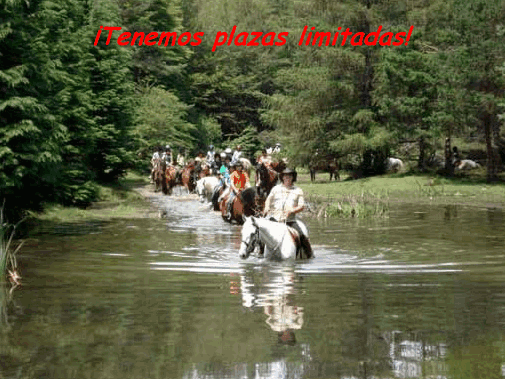 Campamentos