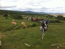 campamentos semana 1