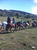 campamentos semana 1