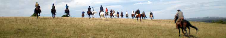 Paseos a caballo